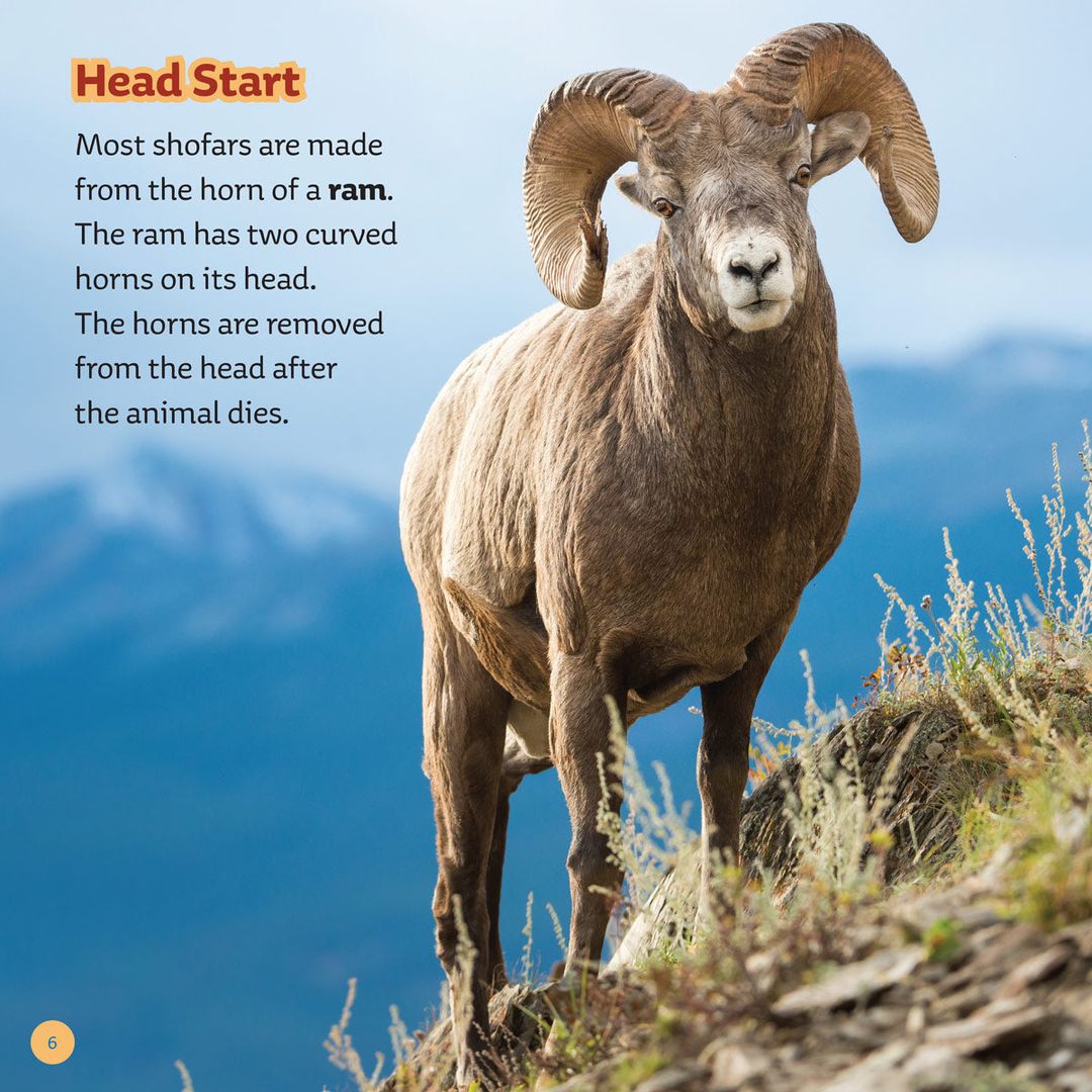 From Ram to Shofar