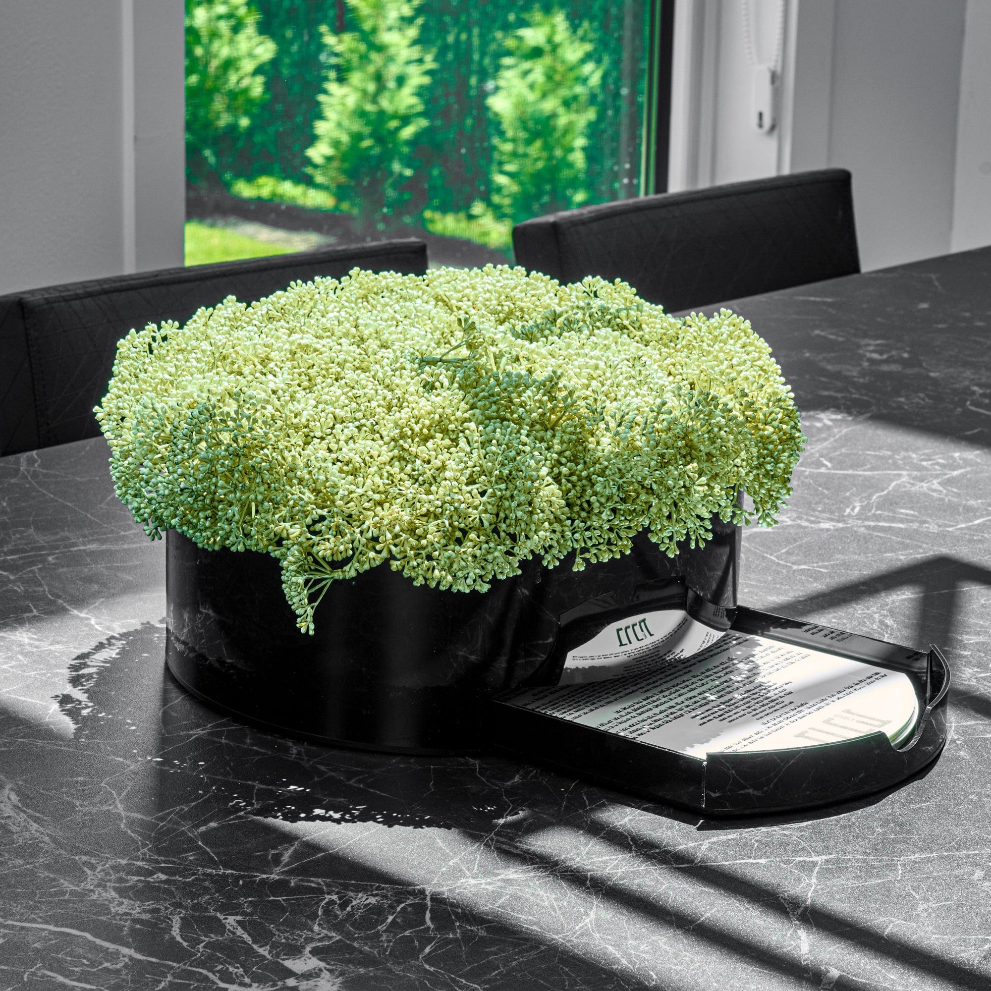 Greenery Round Vase Bencher Set (Black) — Lucite Tabletop by Waterdale Collection — View 2 Acrylic Tabletop | Judaica Square 