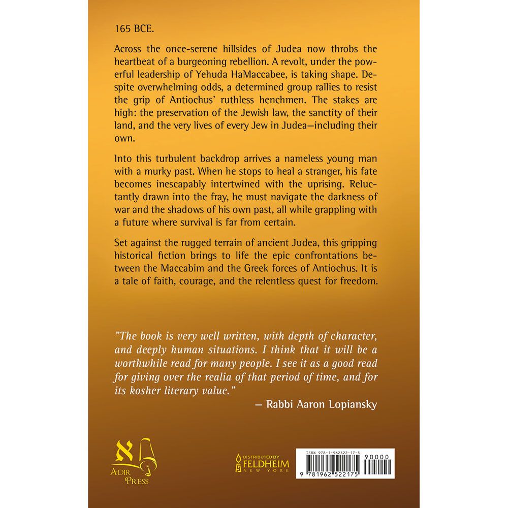 Guardians of the Flame by C. Cohen, back cover