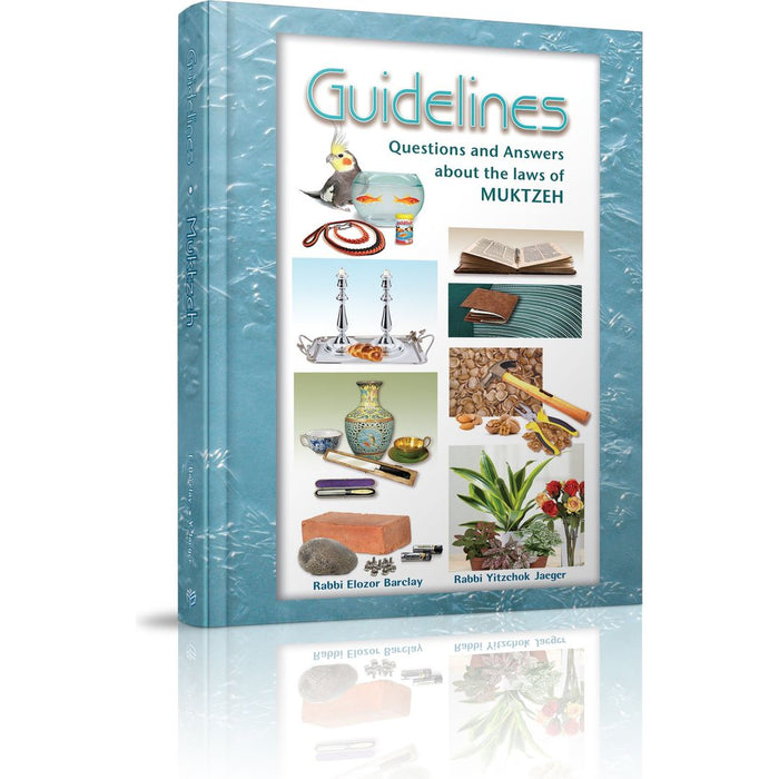 Guidelines - Questions and Answers about the Laws of Muktzeh — Rabbi Elozor Barclay | Judaica Square Lakewood