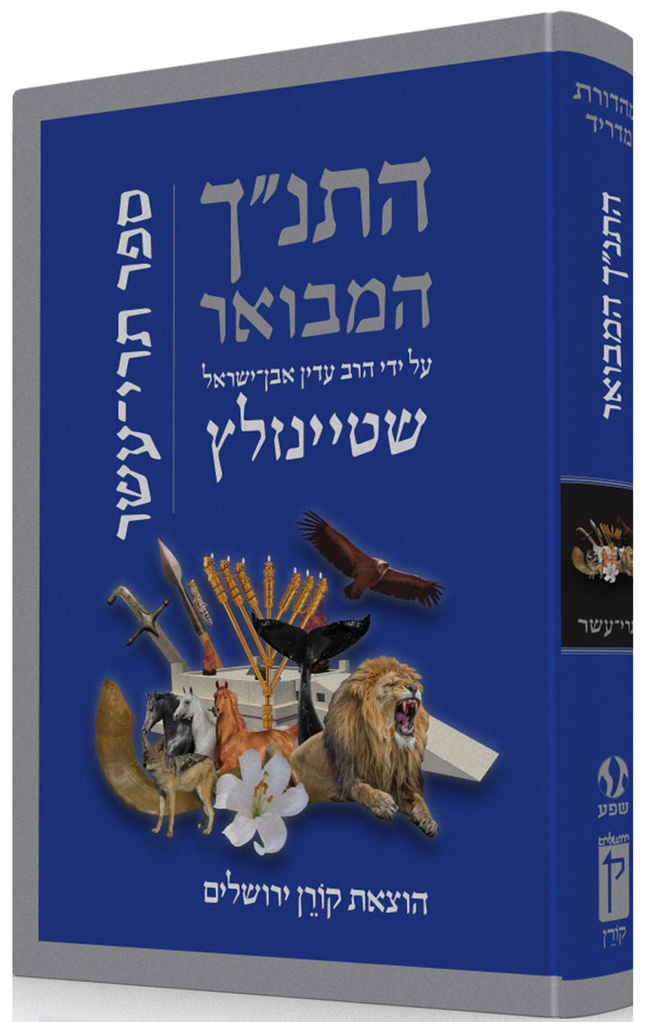 HaTanakh HaMevoar, Trei Asar, Rabbi Adin Even-Israel Steinsaltz (Hardcover)