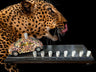 Punch-buggy menorah — leopard-print die-cast VW beetle on a painted wood base with candle cups | Judaica Square Lakewood