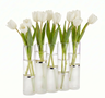 Alexandria Five-section Acrylic Flower Vase Silver Ring — Judaica Decor