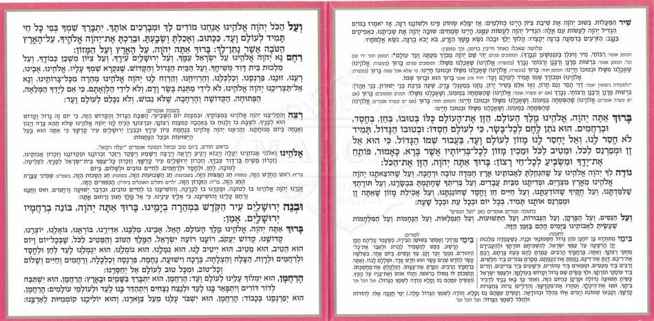 Square Birchat HaMazon Pink #164 - Image 3