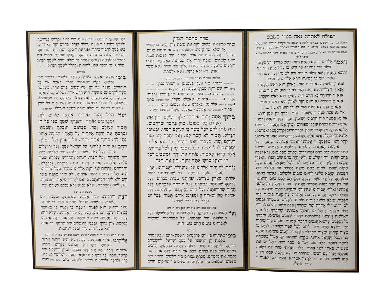 Tu B'Shvat Tri Fold #251 - Image 4