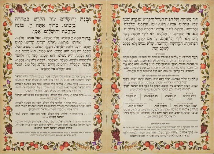 Large Laminated Birchat HaMazon #209 - Image 2