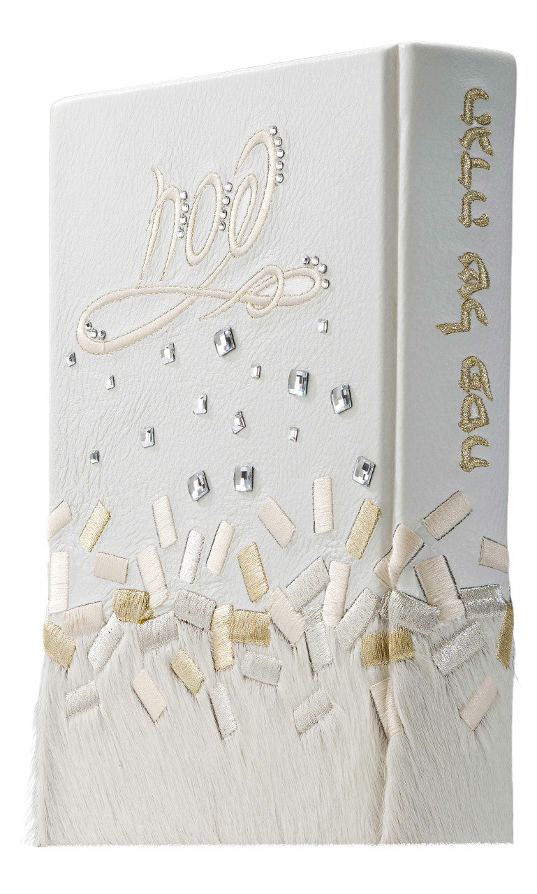 Custom Hagadah Cover #660 - Judaica Accessories