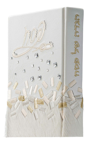 Custom haggadah cover design 660 | Judaica Square Lakewood