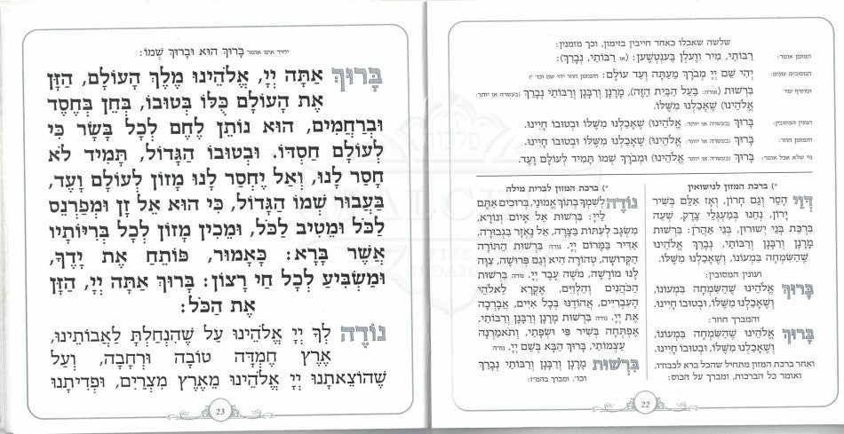 Modern Full Zemiros Shabbat #213 - Image 4