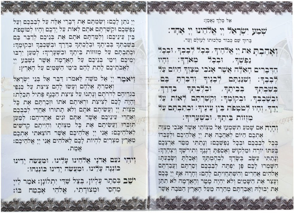 Large Laminated Boys Krias Shema Booklet #186 - Image 2