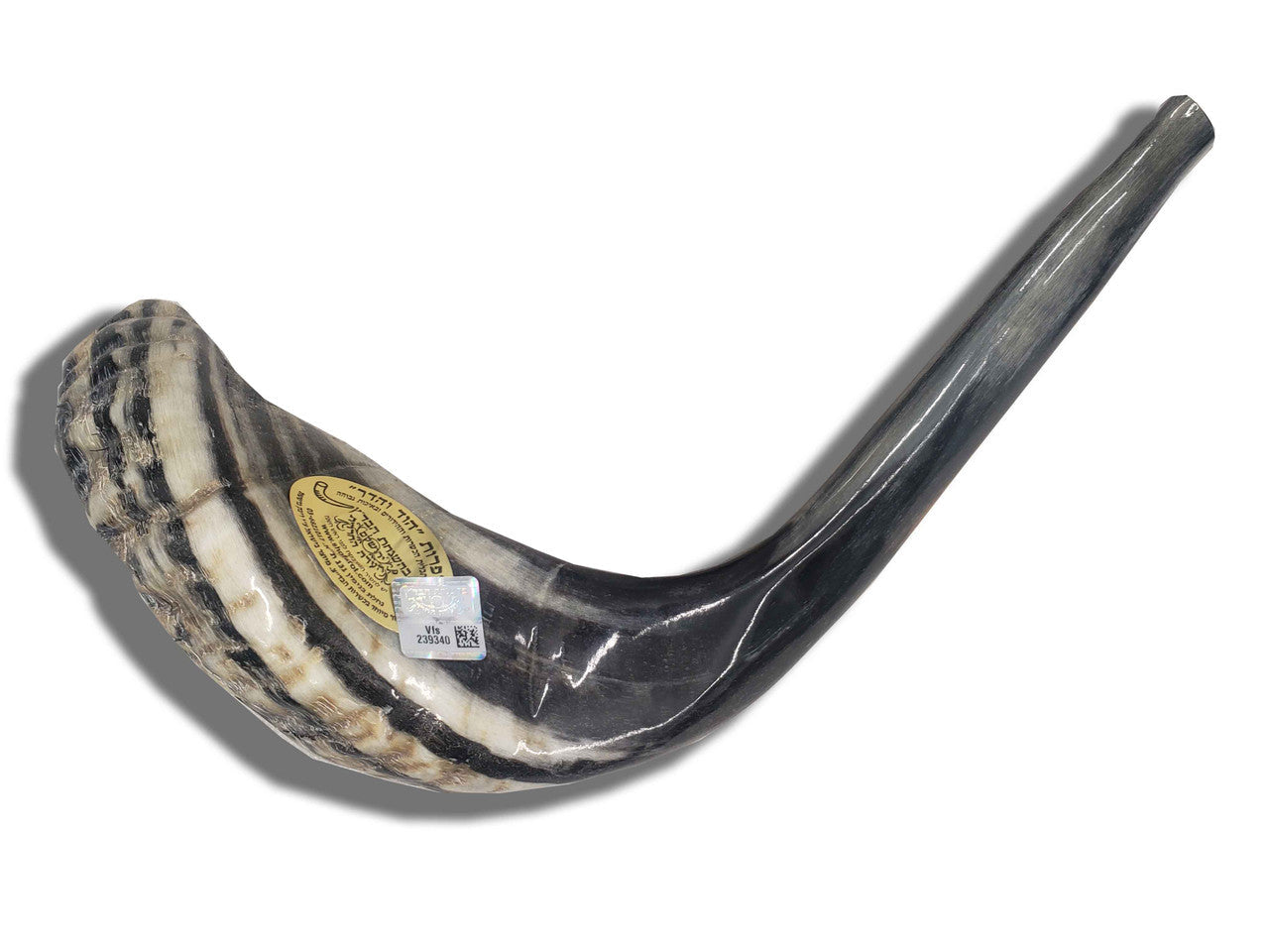 Shofar (Ram's Horn) 16''-17'' #A5 with Badatz Hechser - Image 2
