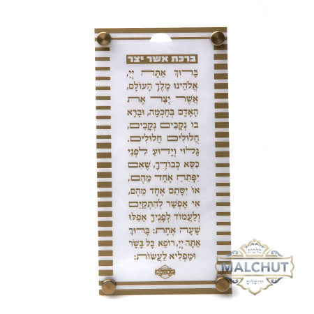 Asher Yatzar  Striped Gold Frame #351 - Image 2