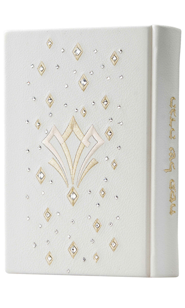Custom Hagadah Cover #680 - Judaica Accessories