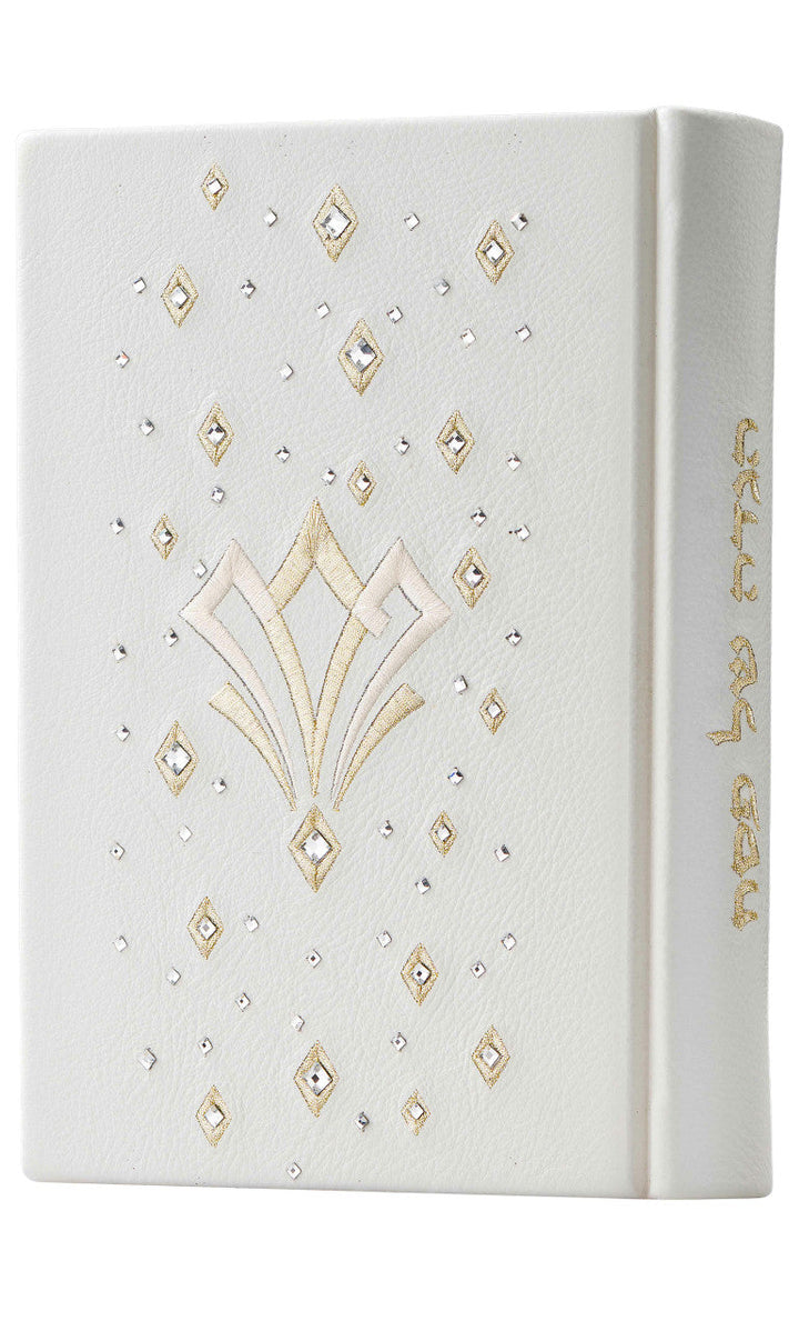 Custom haggadah cover design 680 | Judaica Square Lakewood