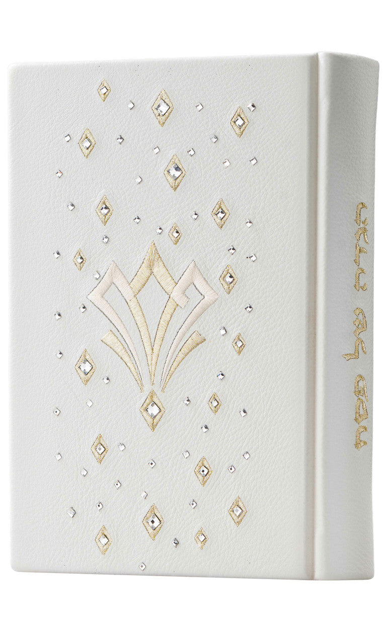 Custom Hagadah Cover #680 - Judaica Accessories