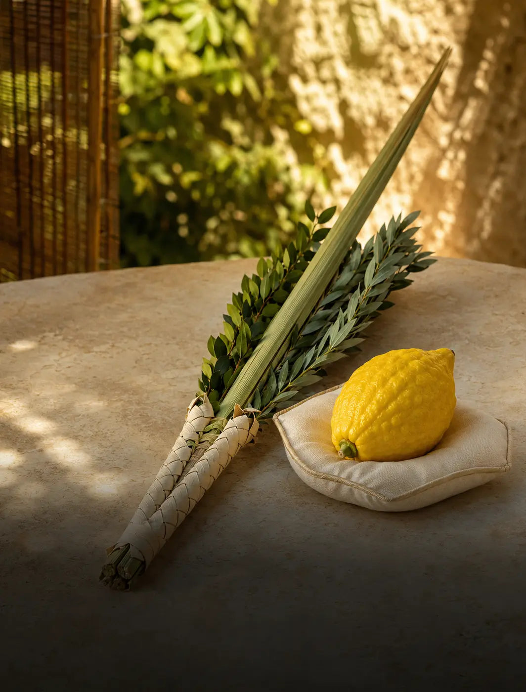 Lulav & Etrog Essentials