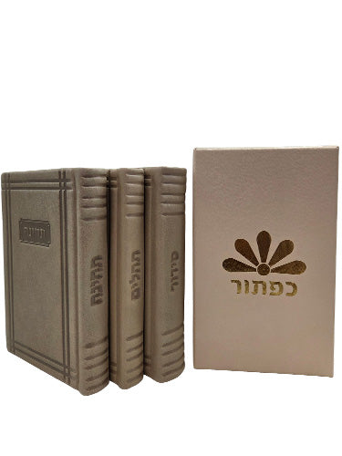 Another angle of the Lehavanah three-volume set, suave leather
