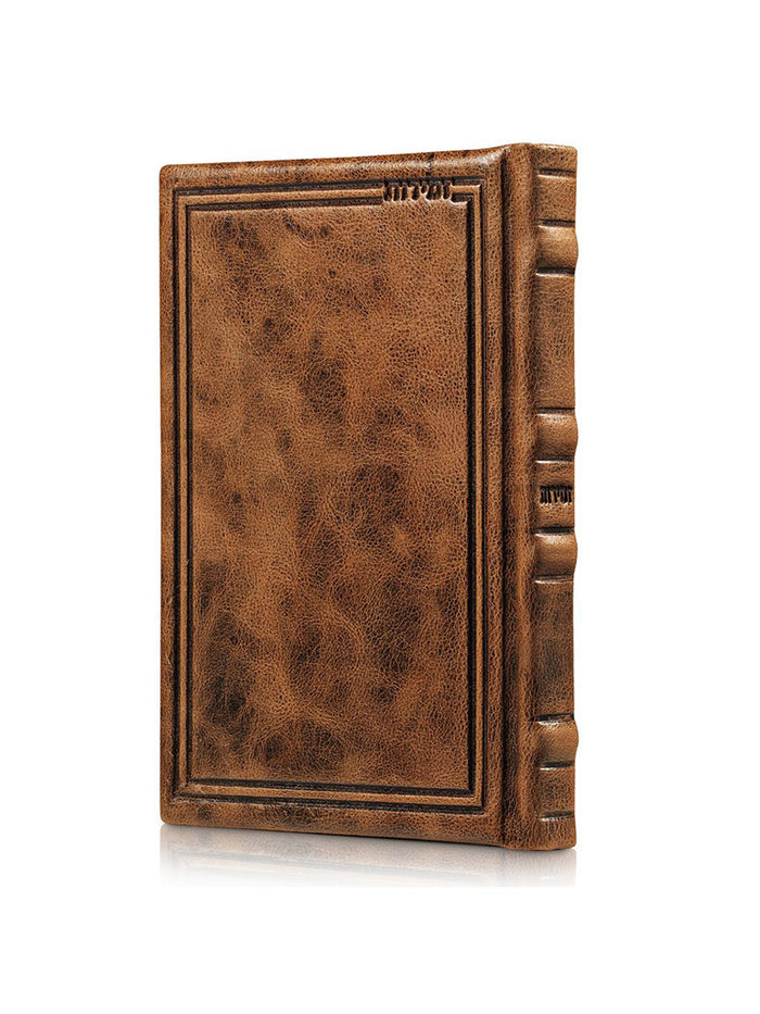Front cover of the Shabbos & Yom Tov zemiros, camel antique