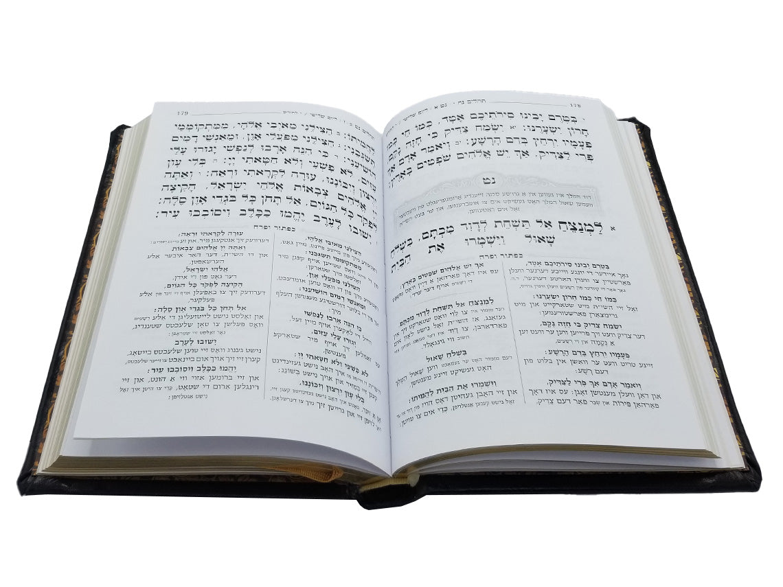 Open pages of the Tehillim Kol Yehidis, bronze full border, showing the Hebrew text layout