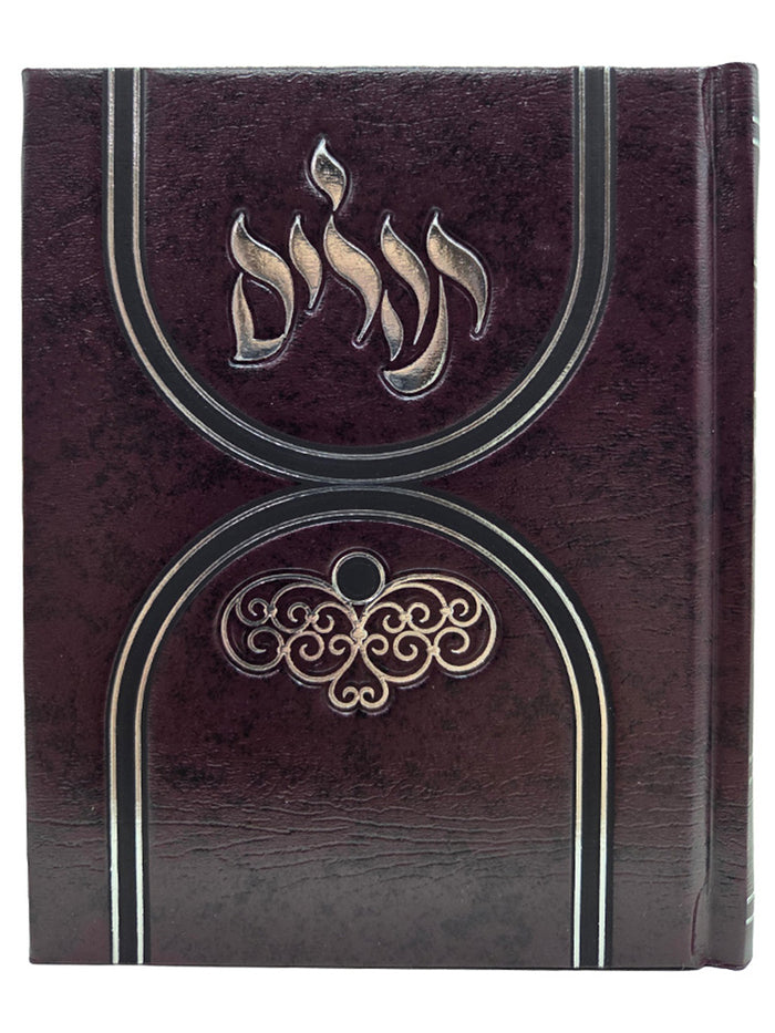 Front cover of the large album Tehillim in Album Hard Cover