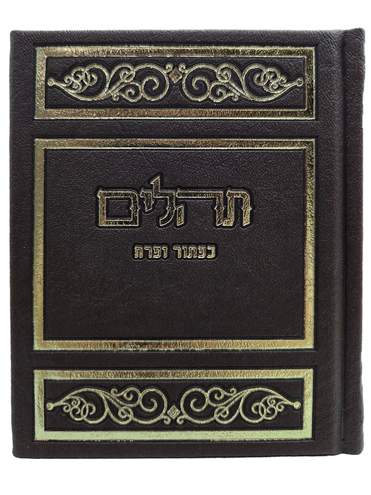Front cover of the large album Tehillim in Album PU Brown