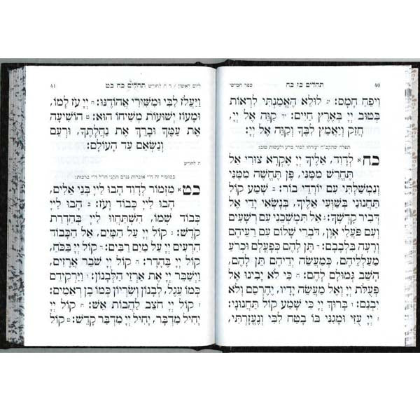 Open pages of the medium antique leather Tehillim, embossed, showing the Hebrew text layout