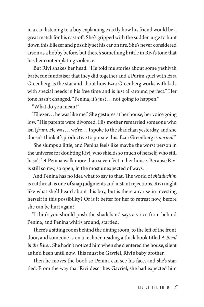 Lie of the Land — Menucha Publishers | Judaica Square Lakewood