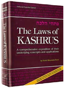 The Laws of Kashrus, Rabbi Binyomin Forst's 455-page hardcover on kashrus and modern appliances