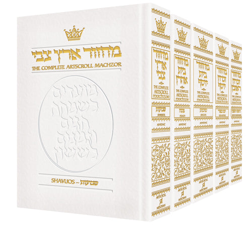 Machzor 5 Vol Slipcased Set Full Size White Leather - Ashkenaz - ArtScroll | Judaica Square