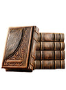 Malchut antique camel leather Oiz VeHudar machzor set with fur, design 1547