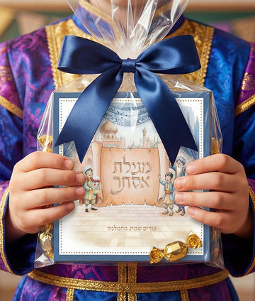 Illustrated Megillas Esther New 6X6
