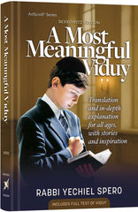 A Most Meaningful Viduy
