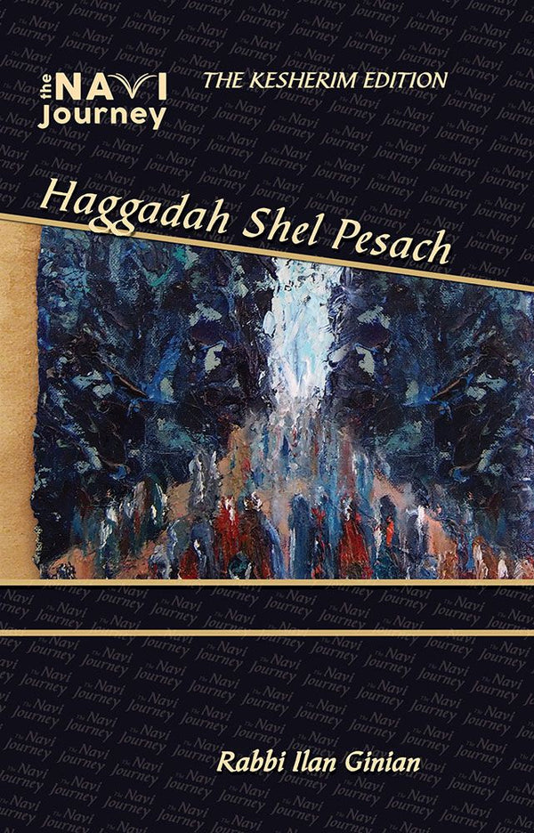 Navi Journey - Haggadah (hardcover)
