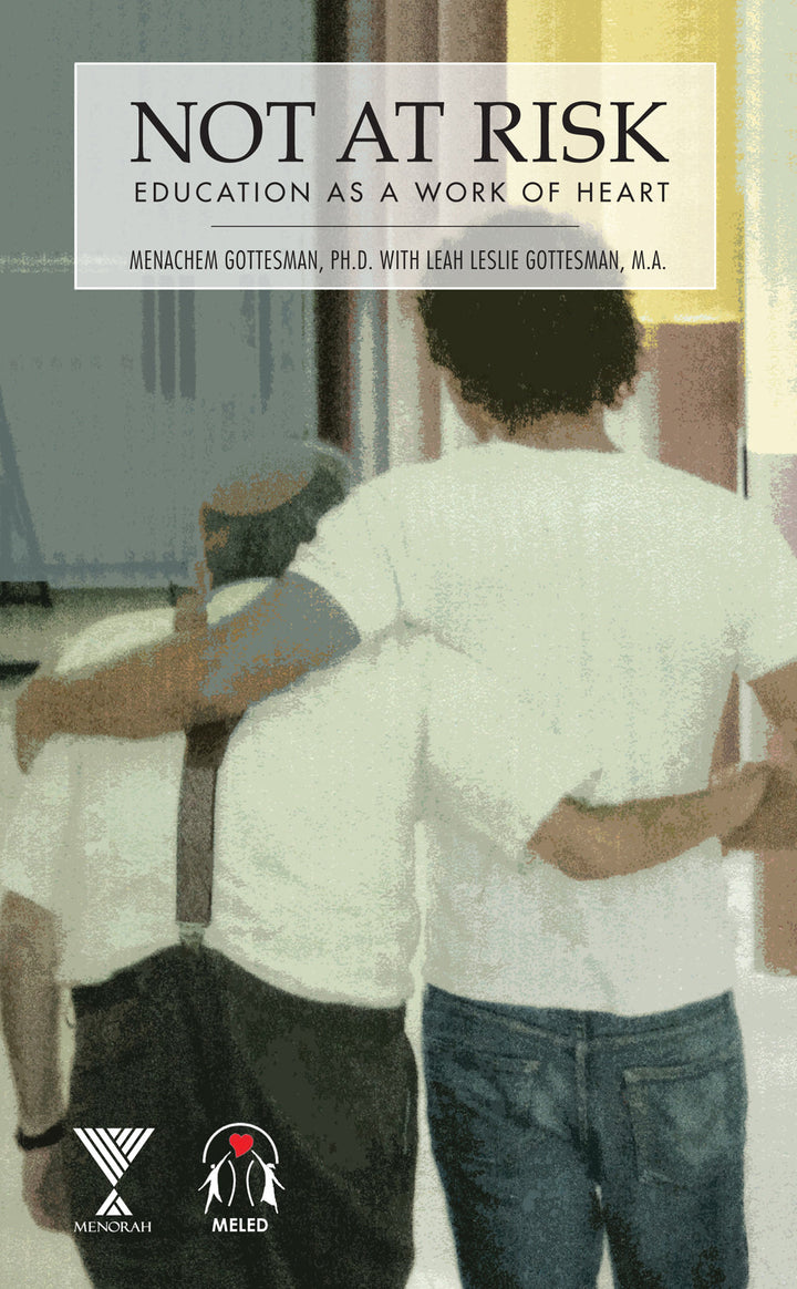 Not At Risk, Dr. Menachem Gottesman (Hardcover, The Toby Press)