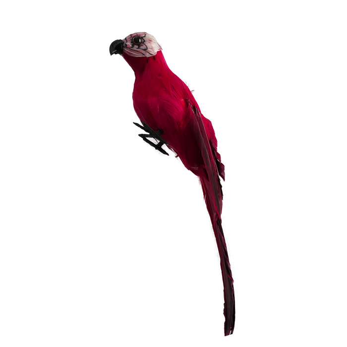 Red hanging decorative bird for a sukkah