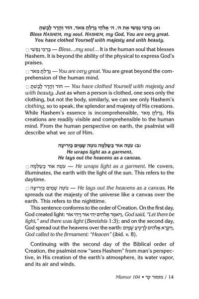 Rav Schwab on Selections of Tehillim