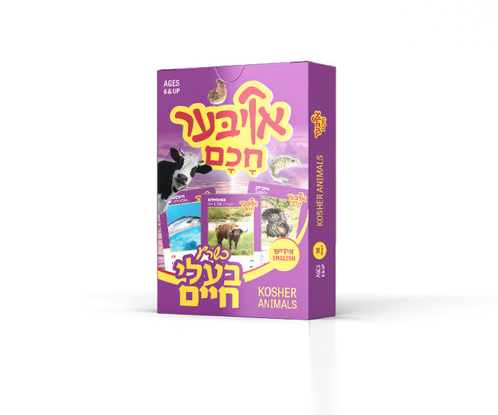Oiber Chuchem Kosher Animals — Card Game by Chazak Kinder | Judaica Square Lakewood