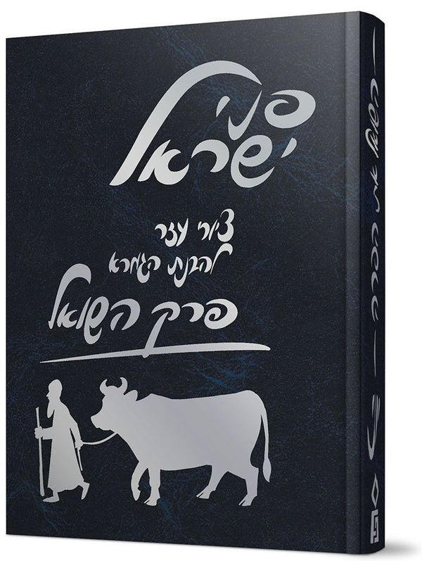 Penei Yisroel, Perek Hashoel (Hebrew)
