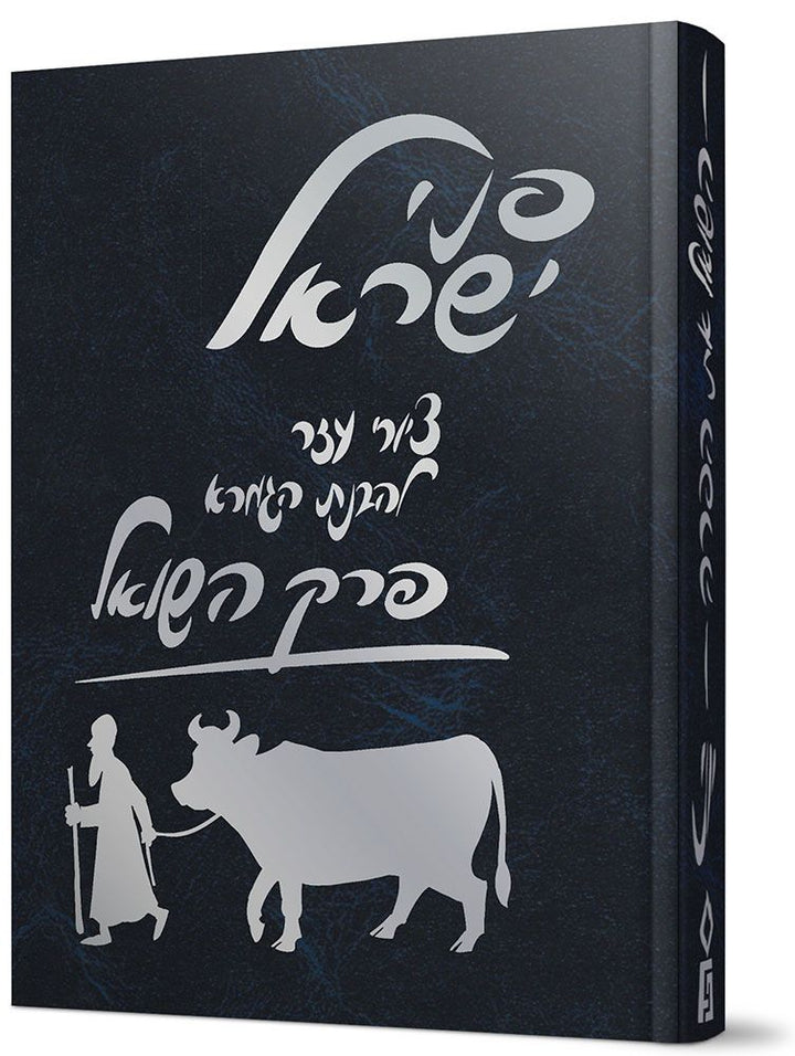 Cover of Penei Yisroel, Perek Hashoel by Yoni Gerstein, hardcover edition
