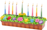 Hand-painted resin Chanukah menorah with colorful planter-box flowers