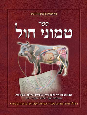 Sefer Temunei Chol (Hebrew) — cover | Judaica Square