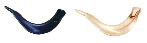 Real Looking Plastic Shofar (SH-SHPL)