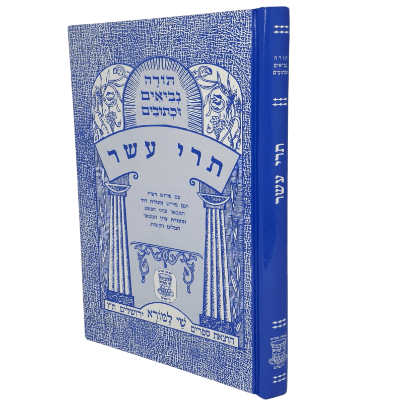 Nach Metzudos Trei Asar | נ״ך מצודות תרי עשר – Shay Lamora