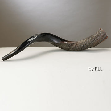 Rite Lite Yemenite Shofar, Approx 75 CM