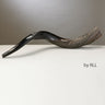 Rite Lite Yemenite Shofar, Approx 75 CM