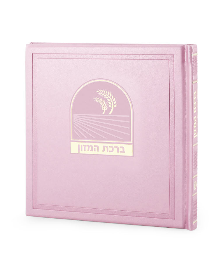 Simchonim Bosmat model 6x6 bencher in light pink