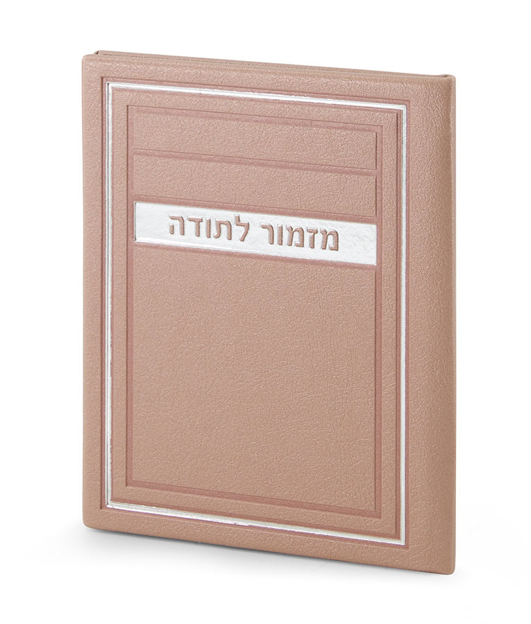 Simchonim Frame model Mizmor LeSodah card in silvery