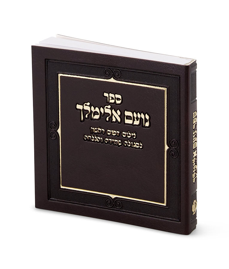 Simchonim brown faux leather Noam Elimelech, alternate view