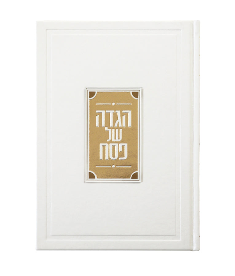 Simchonim haggadah with Lucite plate, alternate view