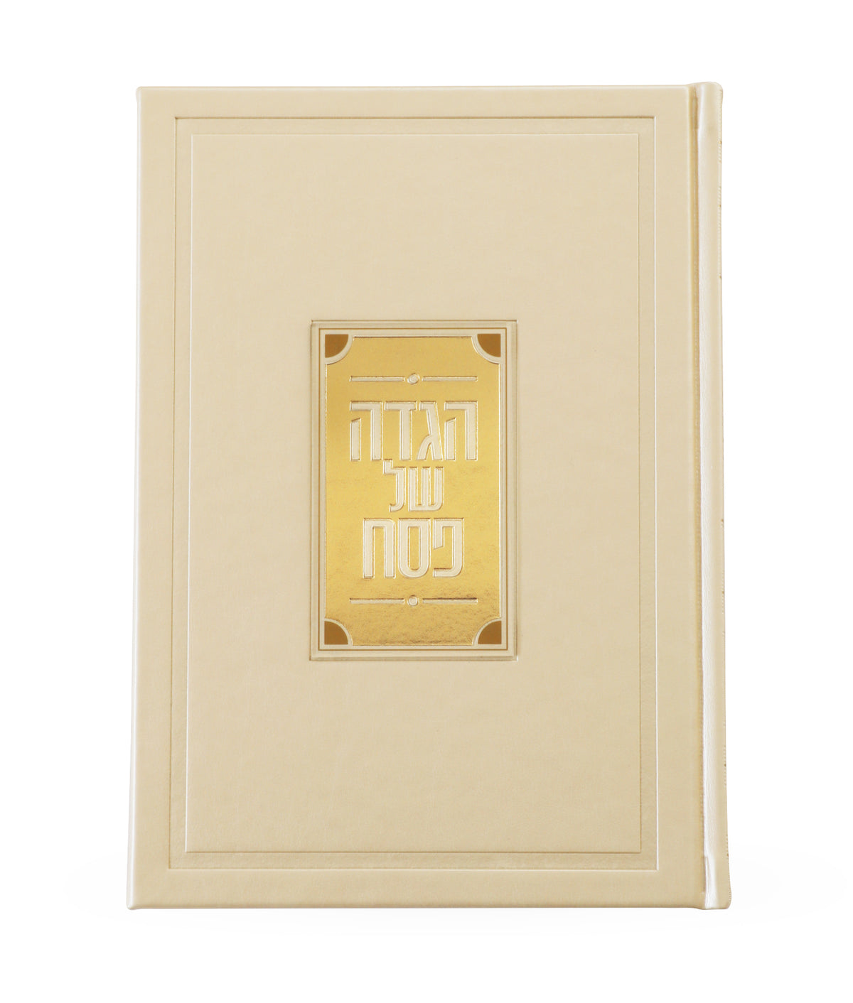 Simchonim haggadah with Lucite plate in gold